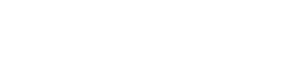 Virtonomy